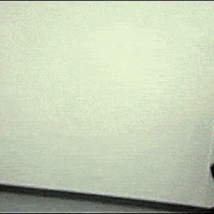 (GIF) The Nostalgia Critic faces off a delusional Dante Basco with a flurry of HONOR