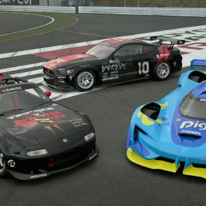 TGR Corner and Run-Off Area__4.webp