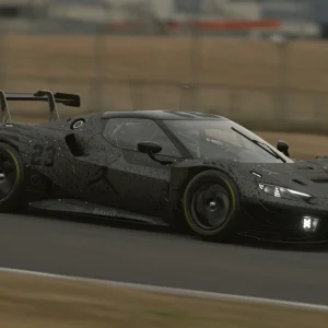BLACKCAT296 RACE.webp