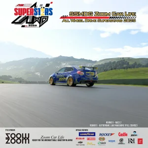 24.webp