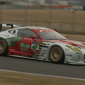 OREILLY WHITE RACE.webp