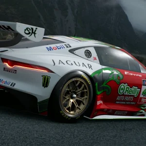 OREILLY WHITE REAR SIDE.webp