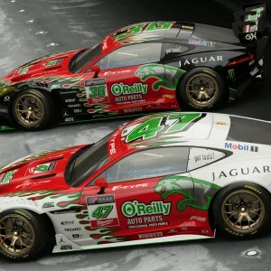 OREILLY DUO SIDE.webp