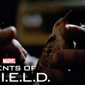 This Where I Die – Marvel’s Agents of S.H.I.E.L.D. Season 3, Ep. 15
