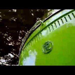 "Pea Car" - A Bird's Eye Commercial