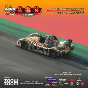 49.webp