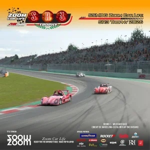 60.webp