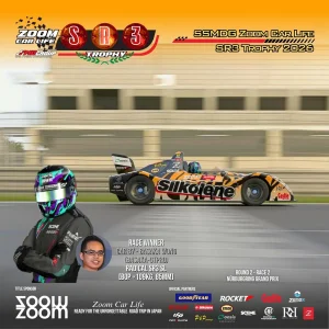 39.webp