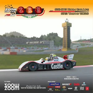 47.webp