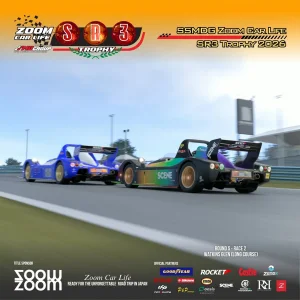 27.webp