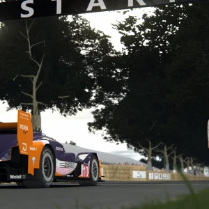 Screenshot_rss_lmp1_protech_p91_evo_g333_goodwood_hillclimb_28-5-126-9-25-3.webp