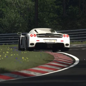 Screenshot_bg_ferrari_enzo_ks_nordschleife_6-6-126-19-49-30.webp