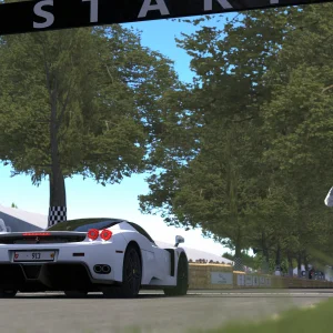 Screenshot_bg_ferrari_enzo_g333_goodwood_hillclimb_11-6-126-10-37-58.webp