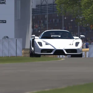 Screenshot_bg_ferrari_enzo_g333_goodwood_hillclimb_11-6-126-10-38-51.webp