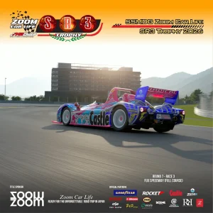 47.webp
