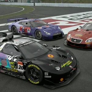 TGR Corner and Run-Off Area__7.webp