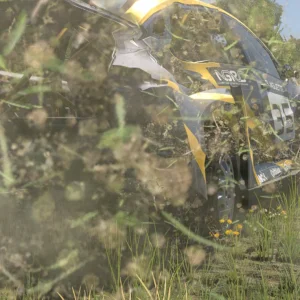screenshot_2026-07-31_21-26-12.webp