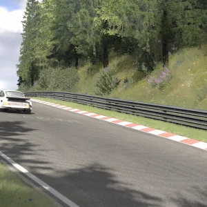Screenshot_ks_porsche_911_carrera_rsr_ks_nordschleife_31-6-126-12-39-5.webp