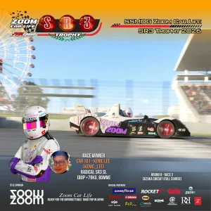 36.webp