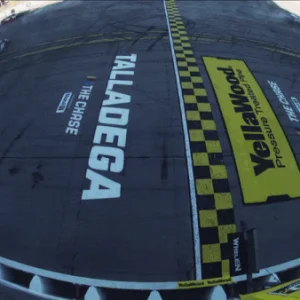 DEGA.gif
