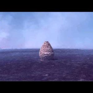 The Maccabees - Pelican