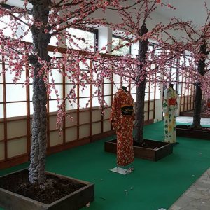 A cool Japanese-styled garden with kimonos