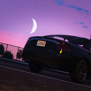 Wild Tailgater 4