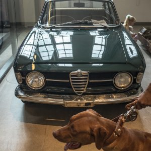 Alfa Romeo GT 1300 Junior