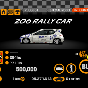 Peugeot 206 Rally Car