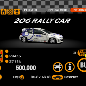 Peugeot 206 Rally Car