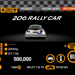 Peugeot 206 Rally Car