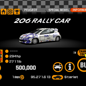 Peugeot 206 Rally Car