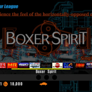 Boxer Spirit