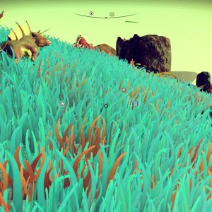 [PC] No Man's Sky