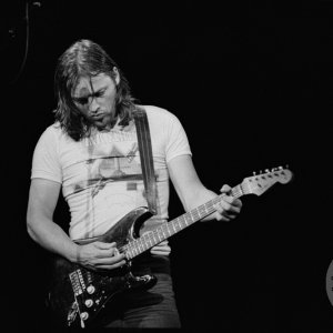 David Gilmour