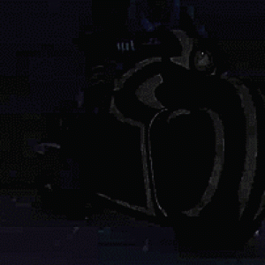 (GIF) Shotaro's secondary glows in the dark, and in order