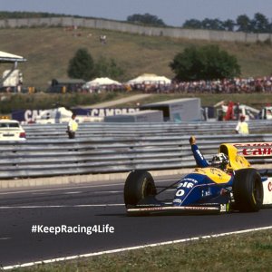 Damon Hill Wins The 1993 Hungarian GP