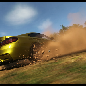 DRIVECLUB™ Stone Thrower