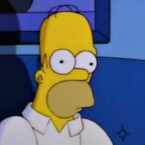 Homer Simpson Watches Twin Peaks