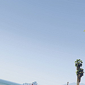 (GIF) The Omnis beach rumble