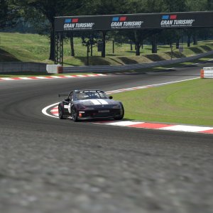 Deep Forest Raceway_18