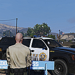 (GIF) The Import/Export Escapades with SPD: Cops are on the scene