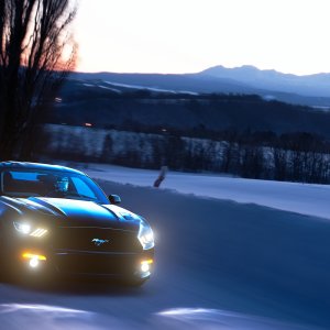 Bold and cold