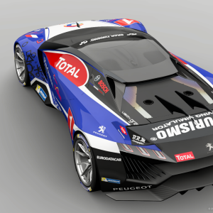 Peugeot VGT Gr. 3 "Team Peugeot Total 2010 Reborn" 4