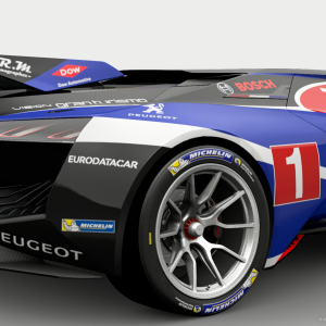 Peugeot VGT Gr. 3 "Team Peugeot Total 2010 Reborn" 3