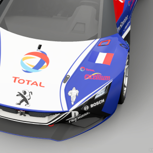 Peugeot VGT Gr. 3 "Team Peugeot Total 2010 Reborn" 2