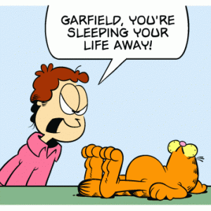 Garfield strip