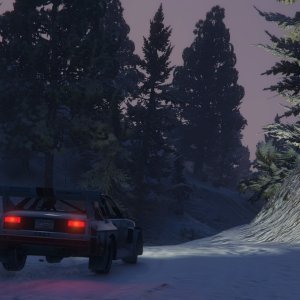 Grand Theft Auto V - Rallying In The Snow - 58
