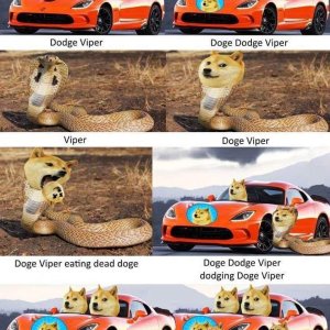 What happens when you put the Dodge Viper, Doge and a sand viper together
