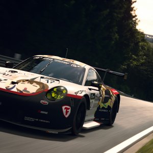 Porsche in its natural habitat. pt3